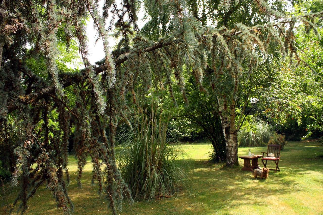 Bed and Breakfast Au Plech Mont-d'Astarac Экстерьер фото